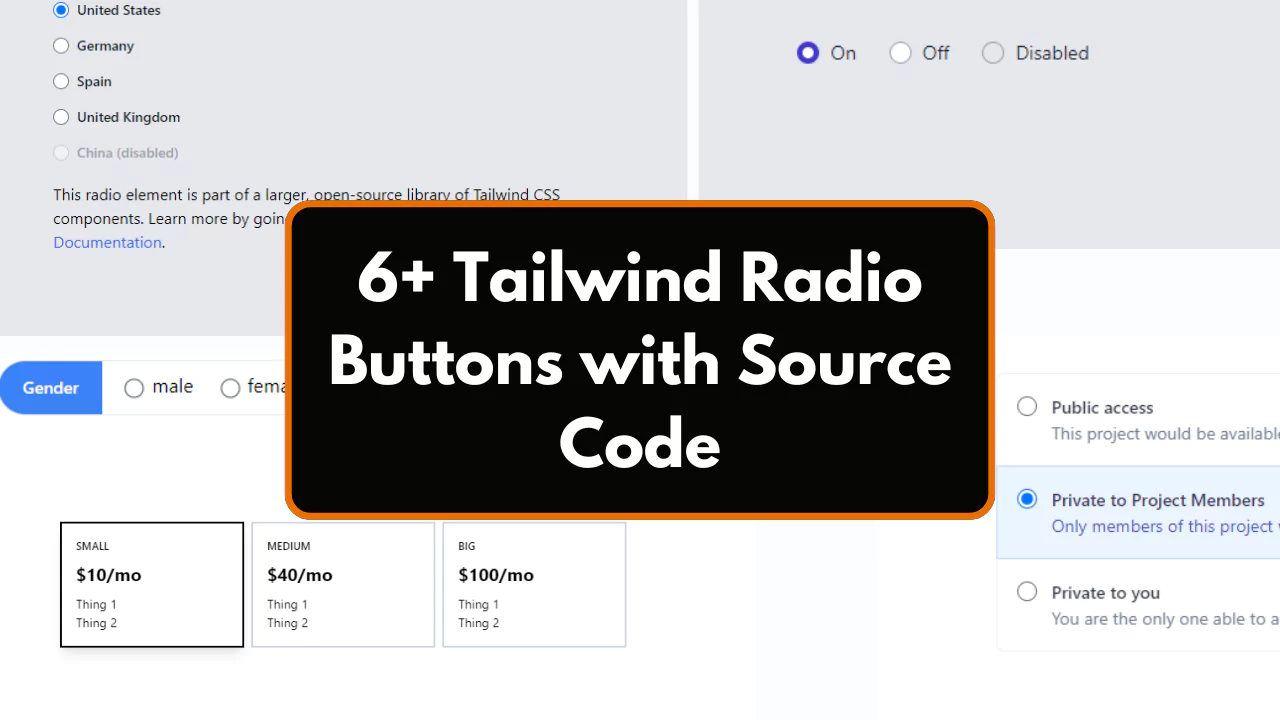 6+ Tailwind Radio Buttons with Source Code